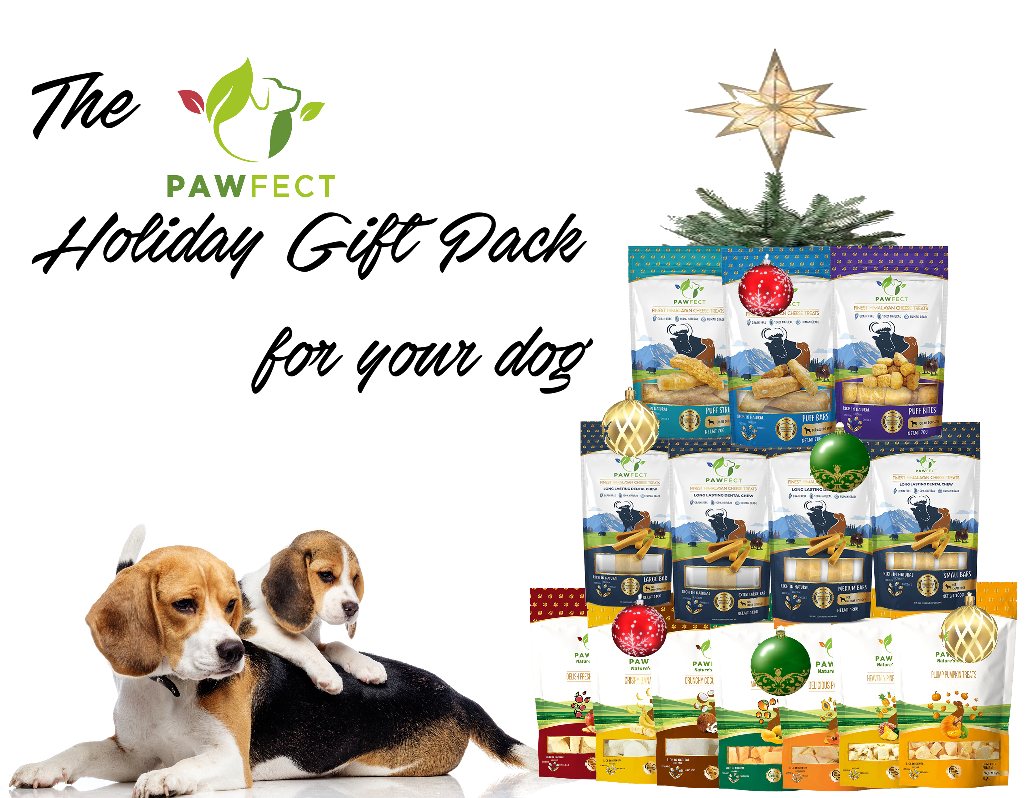 The Pawfect Holiday Gift Pack for your Dog!